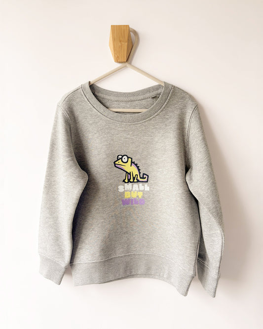 Sweat Caméléon