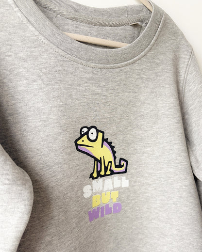 Sweat Caméléon